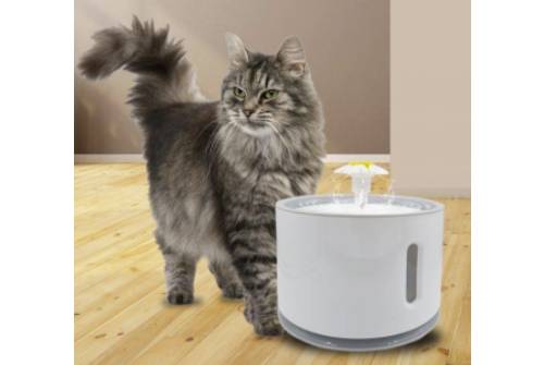 Bebedero de Agua Eléctrico para Mascotas