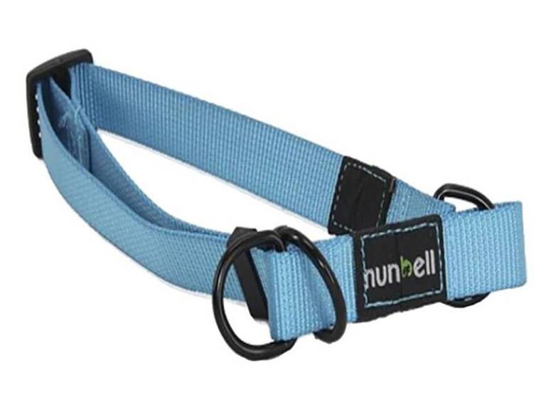 Collar Gato y Perro Resistente y Ajustable Celeste Importclick