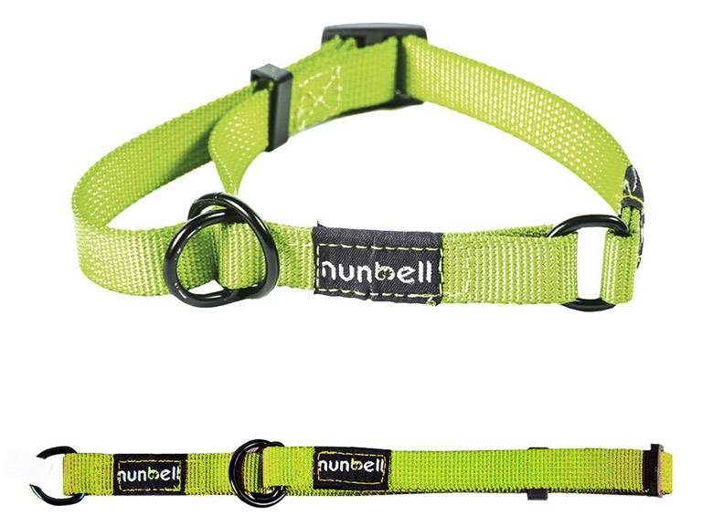 Collar Gato y Perro Resistente y Ajustable Verde Importclick