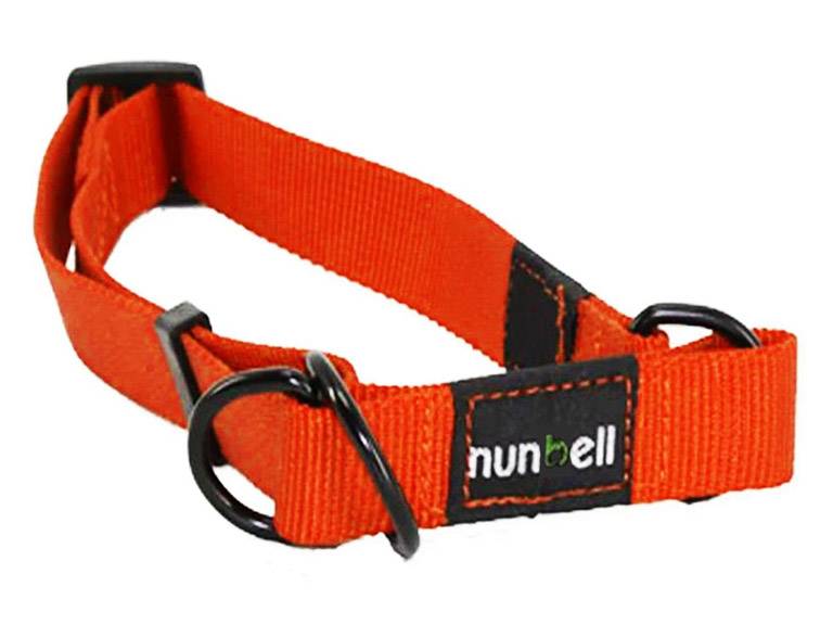 Collar Gato y Perro Resistente y Ajustable Naranjo Importclick