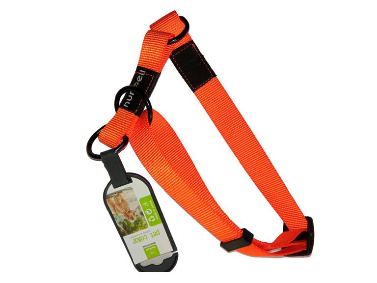 Collar Gato y Perro Resistente y Ajustable Naranjo Importclick