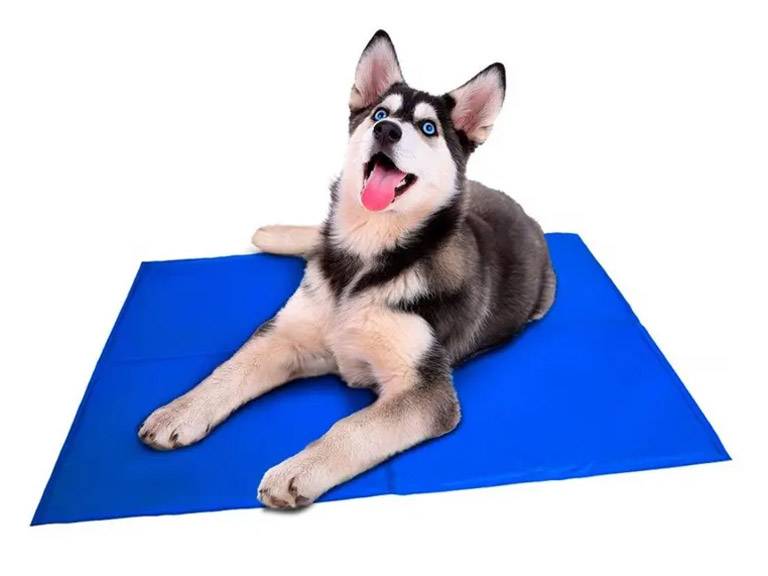 Manta de Enfriamiento para Mascotas Azul 40 x 50 cm Importclick