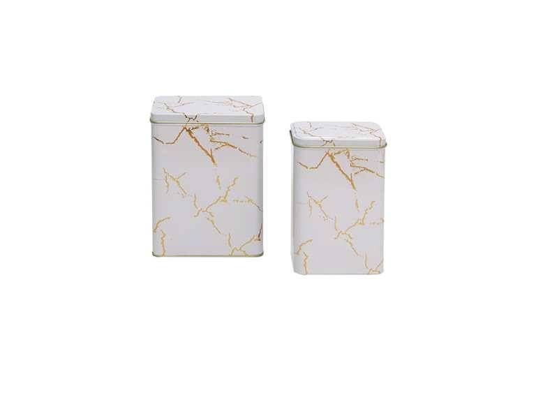 Lata Decorativa Set x2 19x11x7 cm