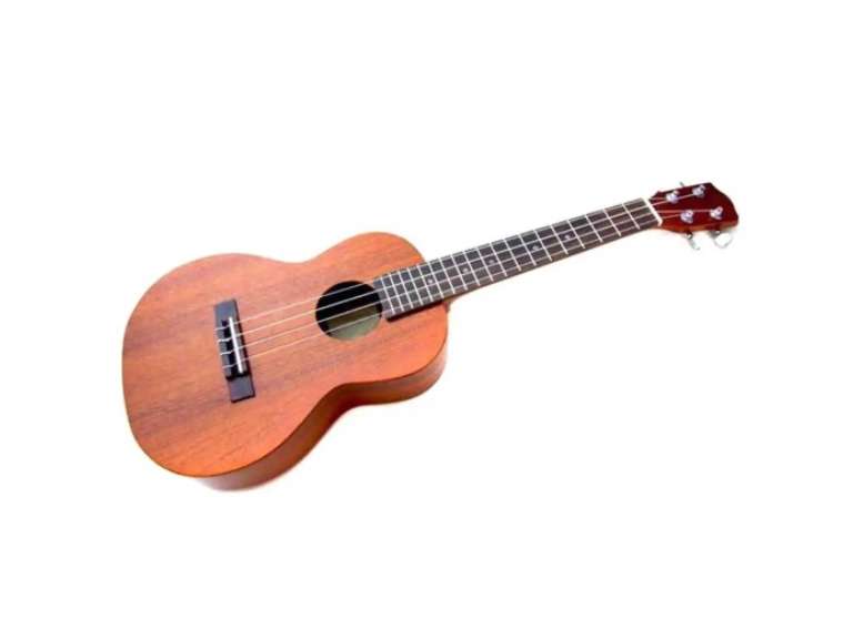 Ukelele 21P con bolso Alaguez AZ21A