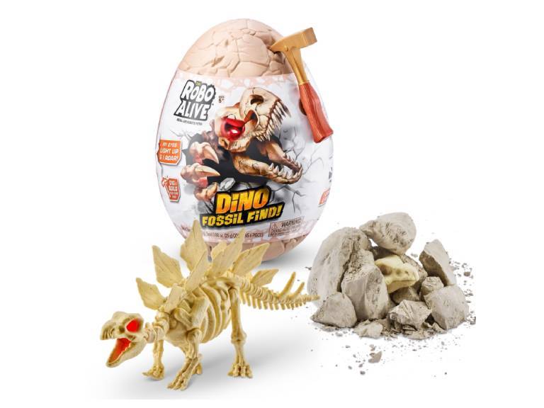Huevo Dino Fossil